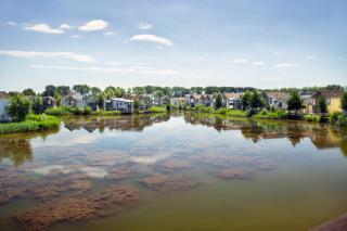 Lake Lodge HM10 Lower Mill Estate Cotswolds - Somerford Keynes - 5