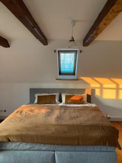 Verwalterhaus mit Blick auf die Pferdeweide -Gut Wittmoldt- - - 3