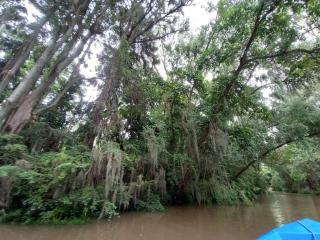 El Domo y La Petaca Delta del Tigre - 5