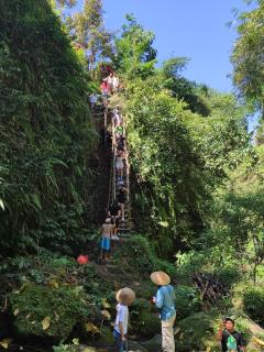 Greenday bungalows - Tetebatu - 7