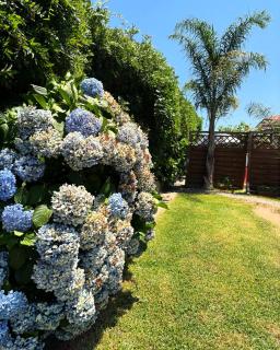 B&B Villa dei Fiori - SantʼEufemia Lamezia - 6
