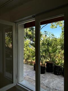 In touch with nature in Büyükada - Adalar - 9