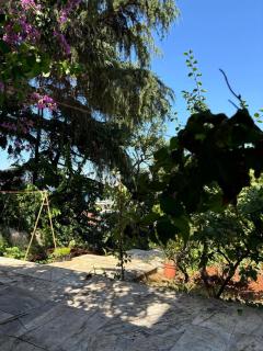 In touch with nature in Büyükada - Adalar - 8