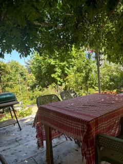 In touch with nature in Büyükada - Adalar - 3