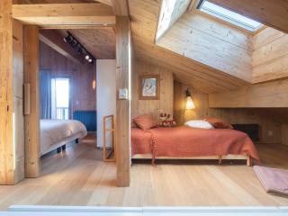 Duplex spacieux ski aux pieds avec vue imprenable - FR-1-809-7 - Les Saisies - 1
