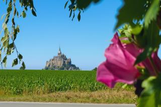 Séjournez avec le Mont-Saint-Michel en toile de fond 8 pers - Huisnes-sur-Mer - 0