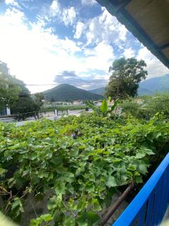 Mountain breeze - 1