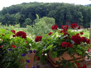 Offenburger Hof - Schuttertal - 7
