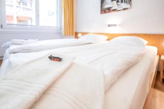 Haus Attila Attika - Zermatt - 6