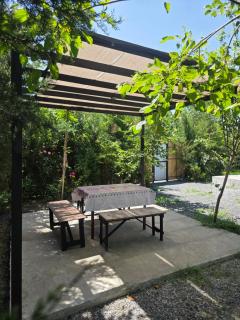 Private Pool - Gabala - 3