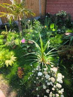 The Lake House Bungalow - Havering - 9