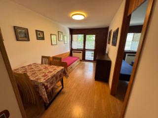 Residence Petit Tibet - Breuil-Cervinia - 2