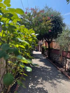 Villa Cittadella - Mantova - 1