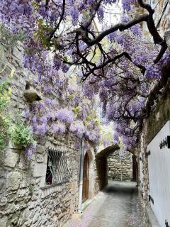 Maison de village rénovée , proche rivière, 3 ch 85 m2 - 1