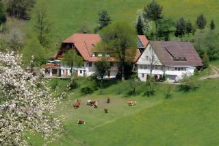 Suschethof - Oppenau - 6