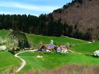 Suschethof - Oppenau - 5