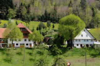 Suschethof - Oppenau - 4