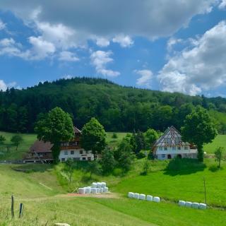 Suschethof - Oppenau - 0