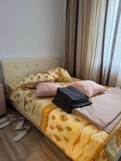 Guest house Alex - Otopeni - 2