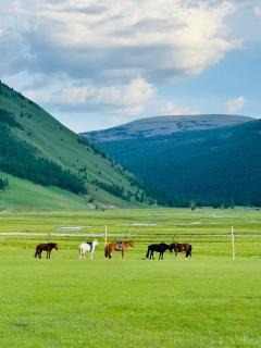 Uka Tours - Ulaanbaatar - 9