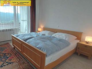 Apartment in Bad Mitterndorf - Steiermark 36996 - Bad Mitterndorf - 7