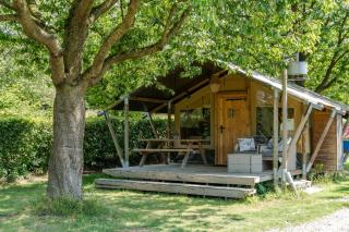 Camping De Bosrand - Sint Geertruid - 7