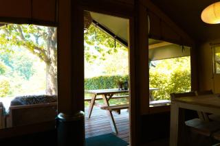 Camping De Bosrand - Sint Geertruid - 5