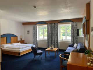 Gasthof-Hotel Goldenes Schiff - Engelhartszell - 1