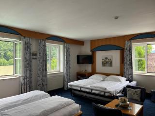 Gasthof-Hotel Goldenes Schiff - Engelhartszell - 2