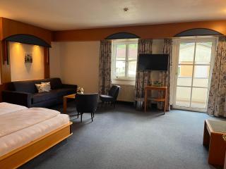 Gasthof-Hotel Goldenes Schiff - Engelhartszell - 3