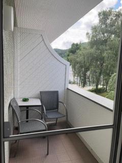 Gasthof-Hotel Goldenes Schiff - Engelhartszell - 5