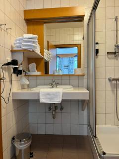 Gasthof-Hotel Goldenes Schiff - Engelhartszell - 6