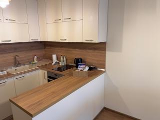 PanOrama Luxury Apartments - Panagyurishte - 8