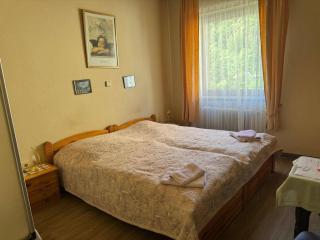 Hotel Garni Neckarblick - Neckarsteinach - 2