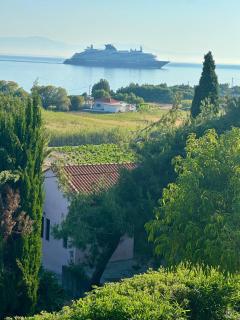 VaVi Residencies-The Apartment - Samos (Samo) - 8