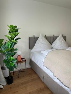 Studio Roma - Prien am Chiemsee - 0