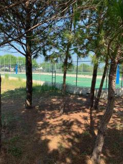 Sea & Pines apartment- Lalēz Bay Beach - Fushë-Draç - 9