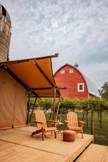 Painted Prairie - Vineyard Hause - Currie - 5