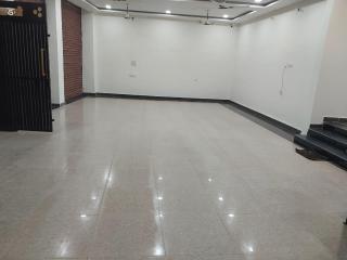 Ladli palace guest house - - 2