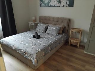 Platinum 1 bedroom apartment - Riga - 6