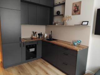Platinum 1 bedroom apartment - Riga - 1