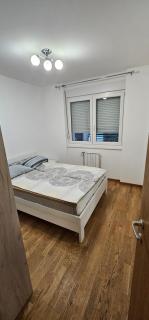 Apartmani Cara Lazara - Novi Sad - 2