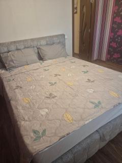 Apartament confortabil - Chişinău - 6