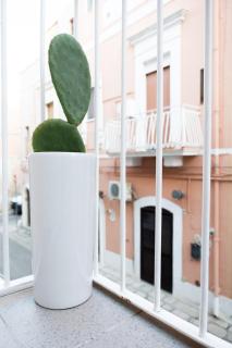 Casa di Luce - Gioia del Colle - 3