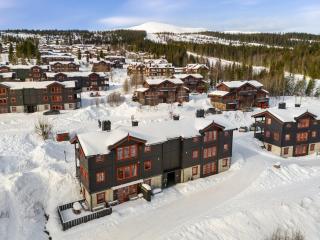 SH720 - Amazing 3 BR apartment Ski in and ski out - Hovi - 7