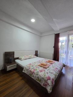 Anastasija Apartments - Ohrid - 3