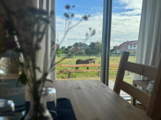 Gemütliches Tiny Haus auf dem Land - Schwasdorf - 1