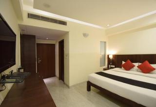 Hotel The Radiant Star - Jaipur - 8