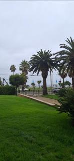 Departamento en Muelle vergara - Viña del Mar - 1