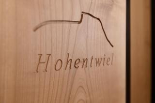 Hohentwiel Apartments - Singen - 4